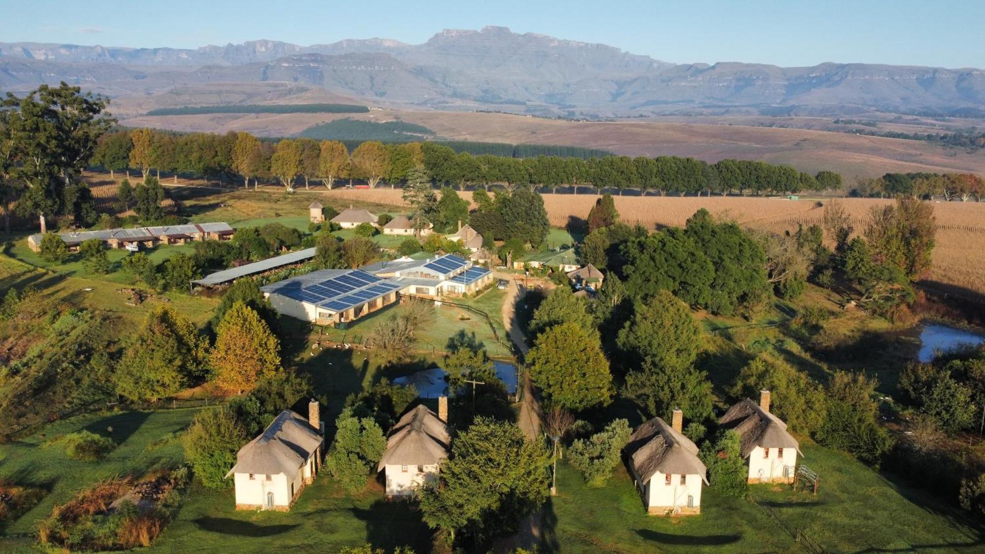 Ardmore Guest Farm Champagne Valley Ngoại thất bức ảnh