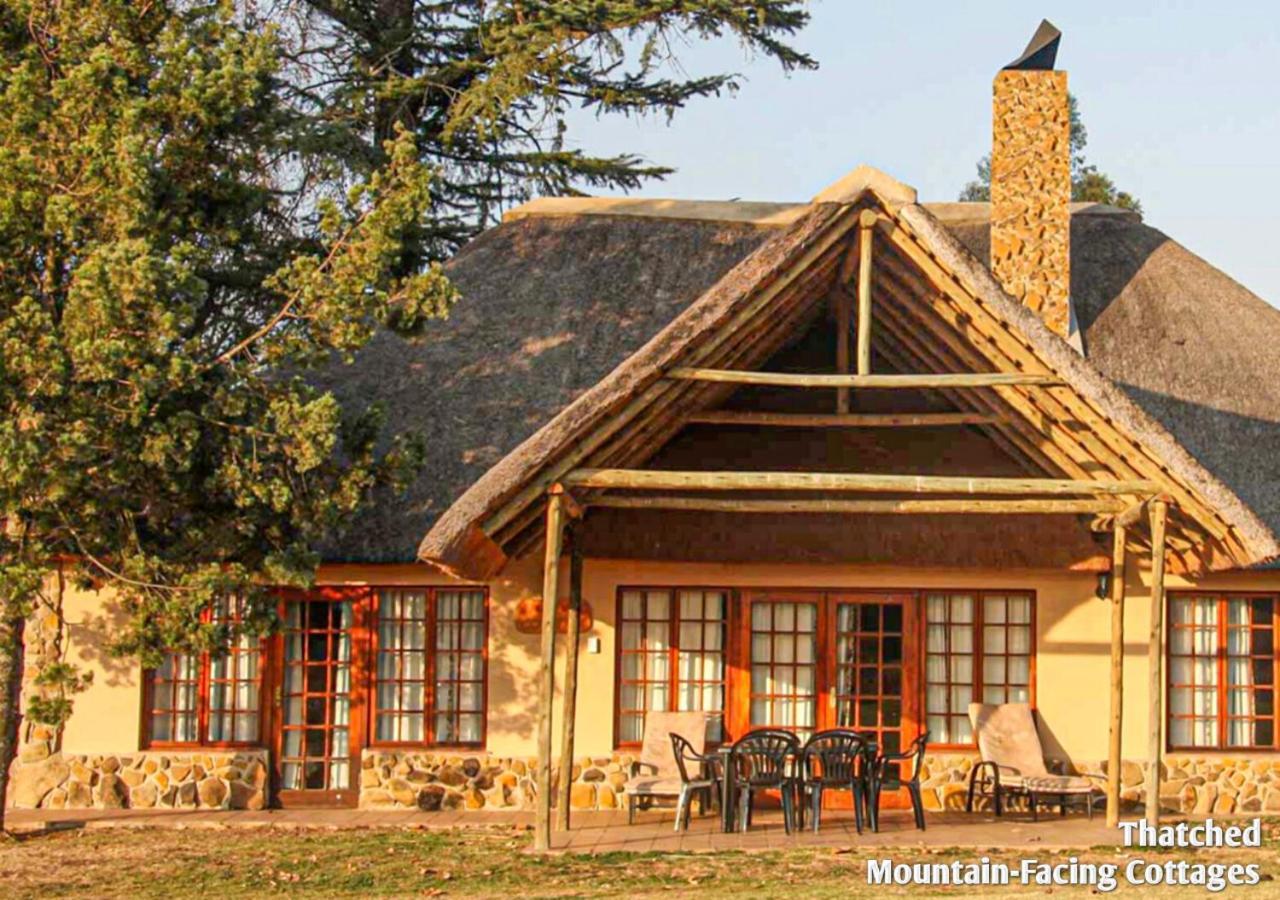 Ardmore Guest Farm Champagne Valley Ngoại thất bức ảnh