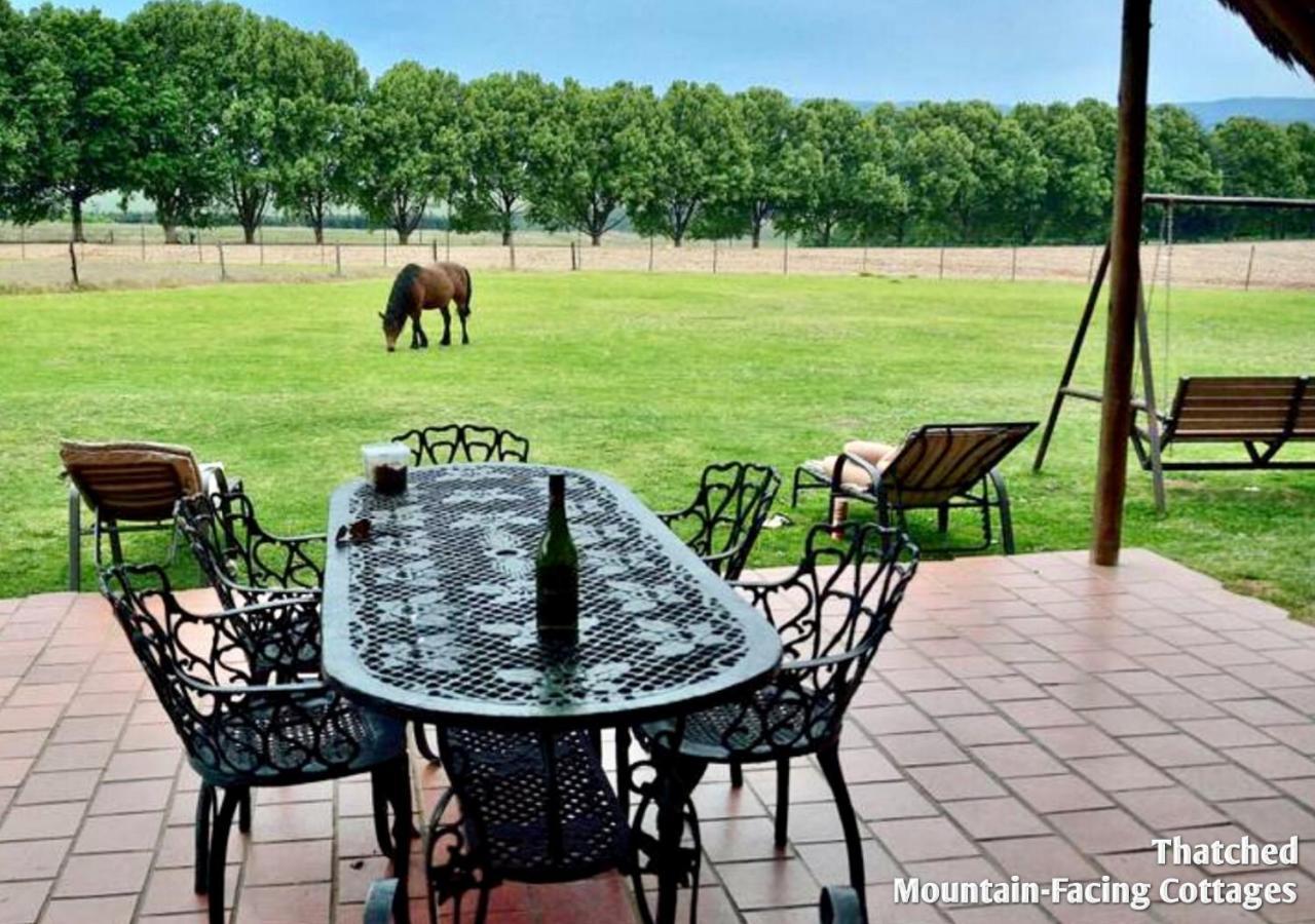 Ardmore Guest Farm Champagne Valley Ngoại thất bức ảnh