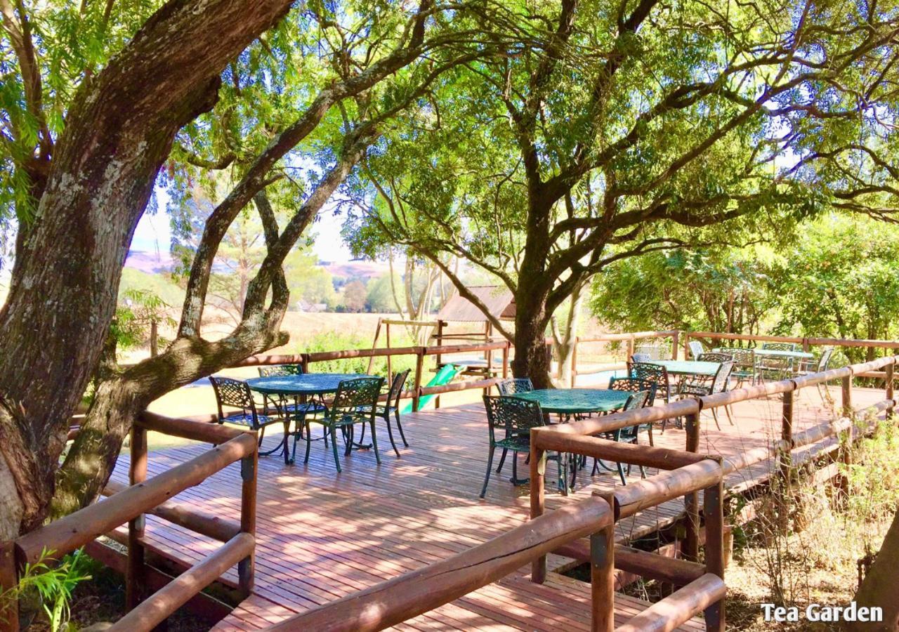 Ardmore Guest Farm Champagne Valley Ngoại thất bức ảnh