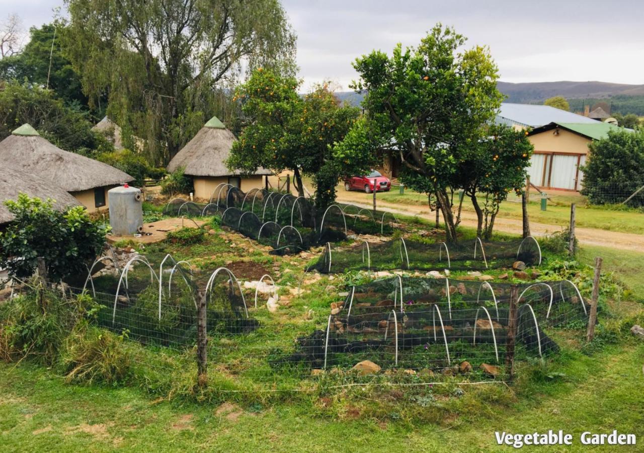 Ardmore Guest Farm Champagne Valley Ngoại thất bức ảnh